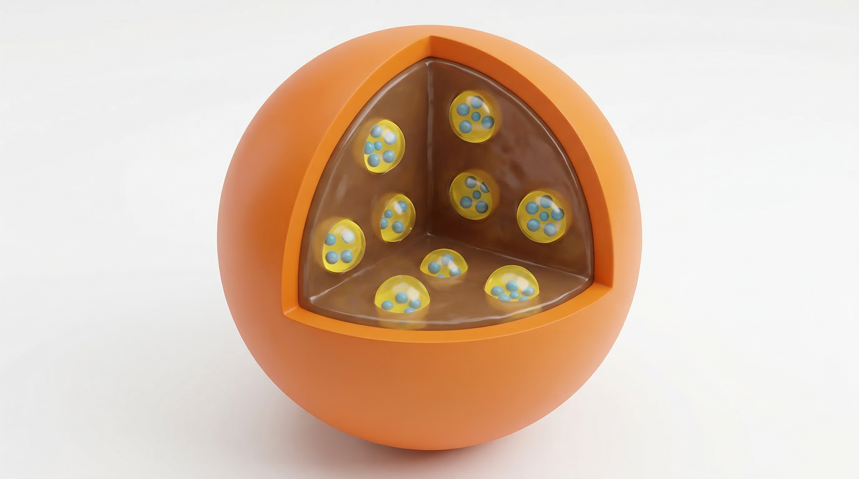 Microcapsule SupFeed™ – Coupe 3D